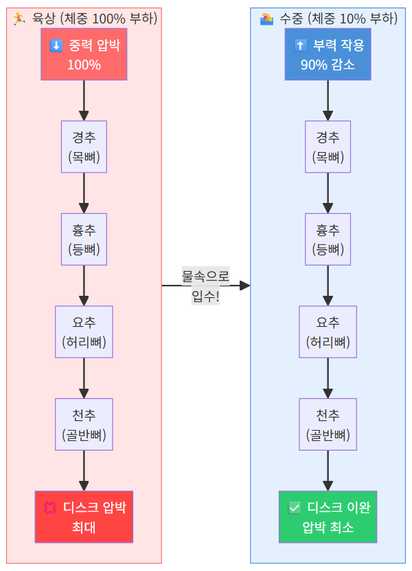 척추 구조와 수중 부력 효과 비교 다이어그램