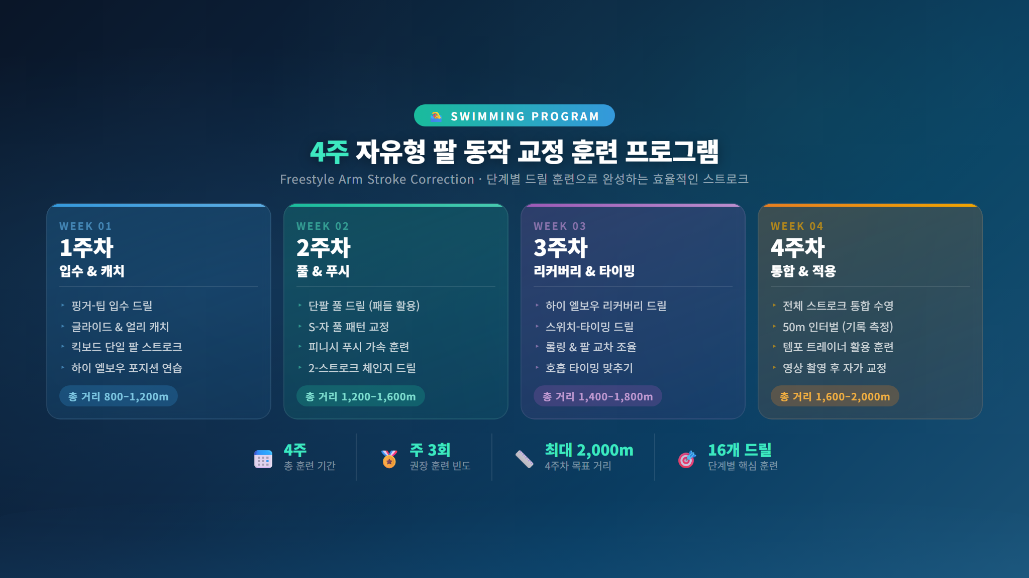 4주 자유형 팔 동작 교정 훈련 루틴 인포그래픽