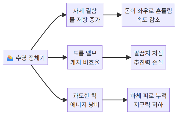 수영 중급자 정체기 원인 분석 다이어그램