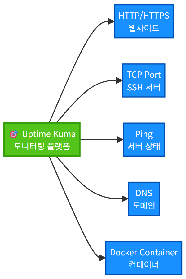 Uptime Kuma 모니터링 유형 분류 다이어그램