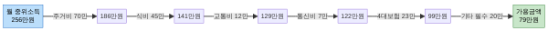 1인가구 월 소득 256만원 지출 구조