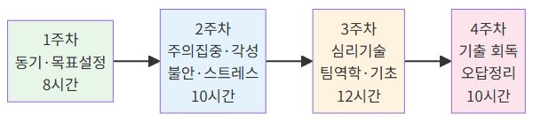 4주 학습 로드맵 다이어그램