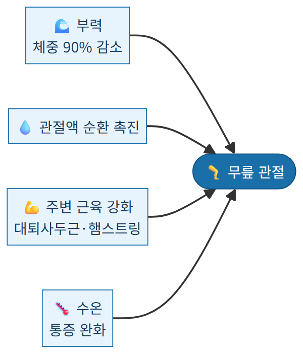 수영이 무릎 관절에 미치는 4가지 긍정 효과 다이어그램