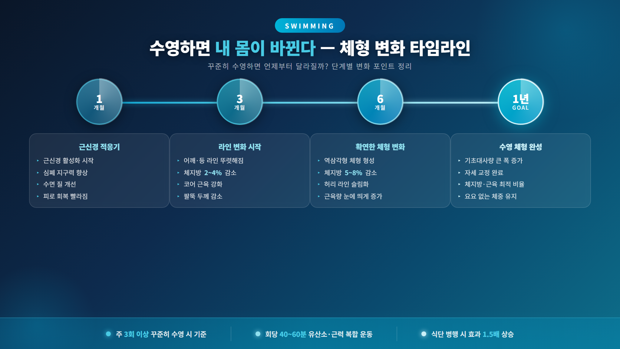 수영 기간별 체형 변화 타임라인