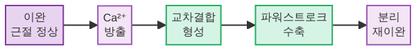 근절 구조와 활주설 근수축 과정 도식