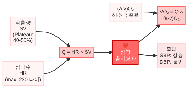 심박출량과 VO₂max 핵심 공식 관계 도식