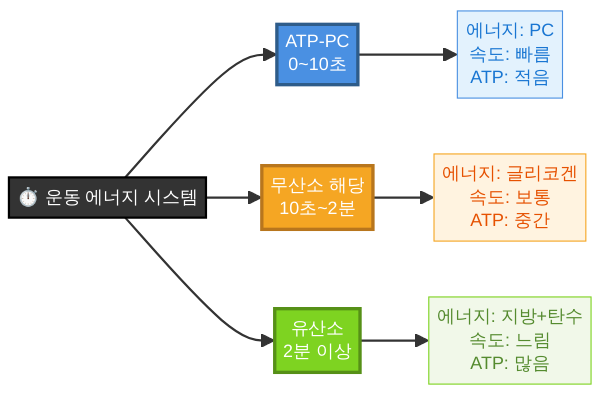 세 가지 에너지 시스템 비교 타임라인 도식