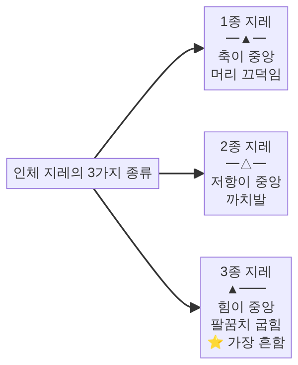 인체 지레 1종 2종 3종 비교 다이어그램